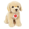 Daisy | Golden Retriever