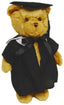 Graduation Bear PHD