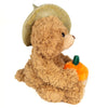 Morgan | Halloween Teddy with Pumpkin