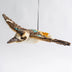 Jonah | Flying Kookaburra