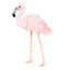 Florence | Flamingo