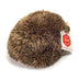 Sully | Hedgehog