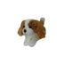 Phoebe | King Charles Cavalier Spaniel