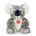 Hazel | Koala