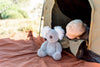 Kobi Koala