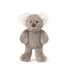 Kobi Koala | Little