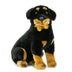 Koda | Rottweiler