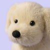 Stella | Golden Puppy