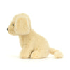Stella | Golden Puppy