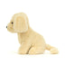 Stella | Golden Puppy