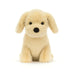 Stella | Golden Puppy