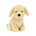 Stella | Golden Puppy