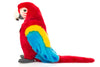 Lola | Scarlet Macaw