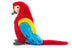 Lola | Scarlet Macaw