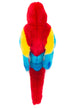 Lola | Scarlet Macaw