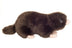 Mollie | Mole