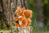 Nibbles Red Squirrel