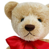 Growling Nostalgia Teddy Jillian