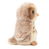 Pip | Owl
