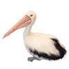 Neptune | Pelican