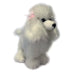 Fifi | Poodle