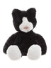 Puddy Kitten