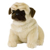 Carlotta | Pug