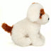 Puppy Rollo