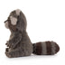 Trixiwoo Raccoon