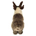 Pinecone | Reindeer