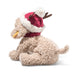 Rudy Dog - Christmas
