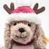 Rudy Dog - Christmas