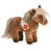 Poppy | Shetland Pony