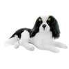 Snuggles | Cavalier King Charles Spaniel