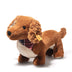 Wally | Dachshund