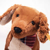 Wally | Dachshund