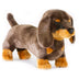 Stretch | Dachshund