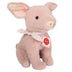 Truffle | Pig