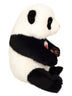 Monty | Panda
