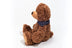 Teddy Rufus