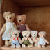 Teddy Alena | Limited Edition