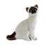 Tulip | Siamese Cat