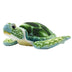 Shelby | Turtle