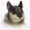 Cooper | Wallaby