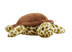 Leo | Turtle Warmies Heat Pack