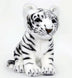 Cotton | White Tiger Cub