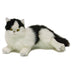 Woodrow | Piebald cat