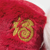 Year of the Horse