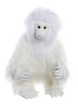 Yeti