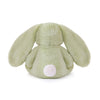 Clover Cottontail | Bunny
